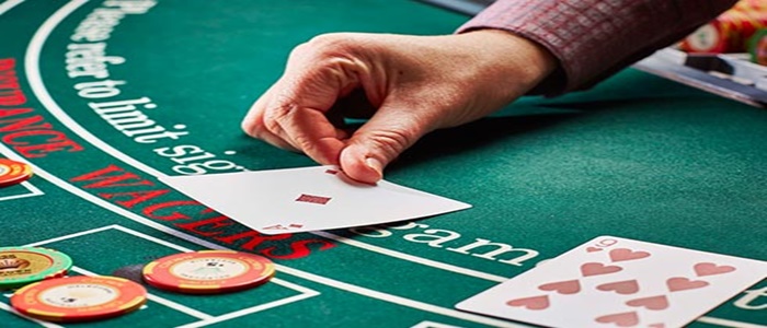 Check out some basic information about the land-based and online casinos